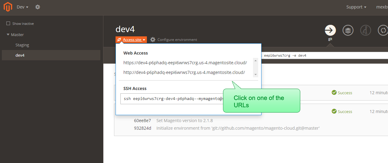 The dev4 website URLs show up in the Magento Cloud web interface