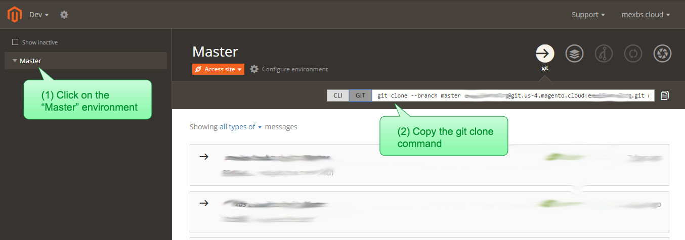 Magento Cloud web interface - click on the clone link in the Master environment