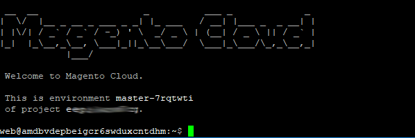 Welcome message shows up in the CLI of the master environment